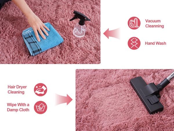 Soft Shaggy for Bedrooms, Fluffy Rugs for Living Room, Blush Area Rug, Cozy Fuzzy Carpet for Kids, Perfect Indoor Decor for Boys and Girls 4x6 Feet