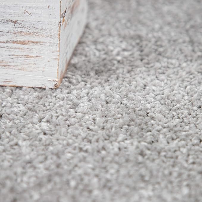 Paco Home Solid Area Rug in Silver Modern Plain Design, Size: 2'8" x 4'11"