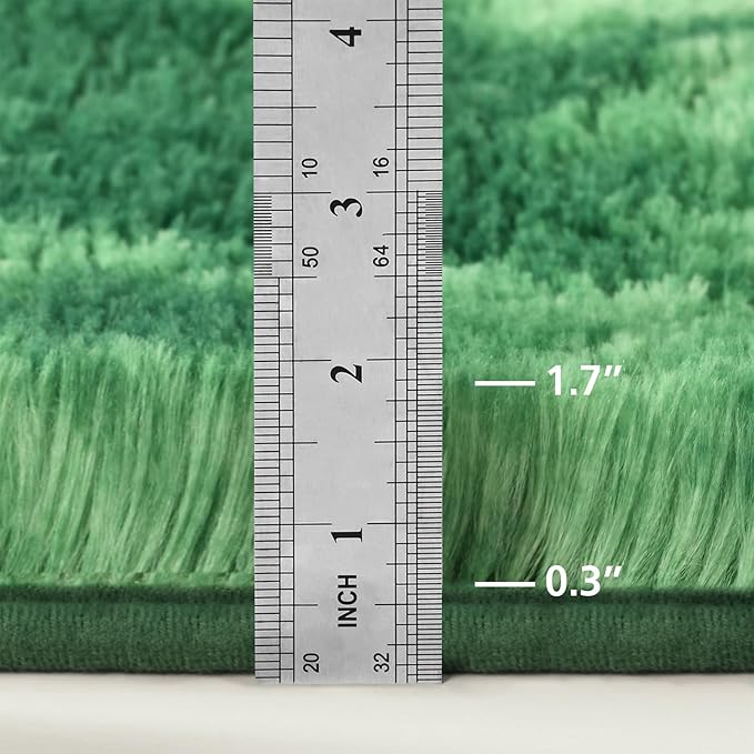 Large Shag Area Rugs 6 x 9, Plush Fuzzy Rugs for Living Room, Ultra Soft Fluffy Furry Rug for Bedroom, Indoor Carpet Nursery Rugs for Kids Room Home Decor, Tie-Dyed Emerald Green