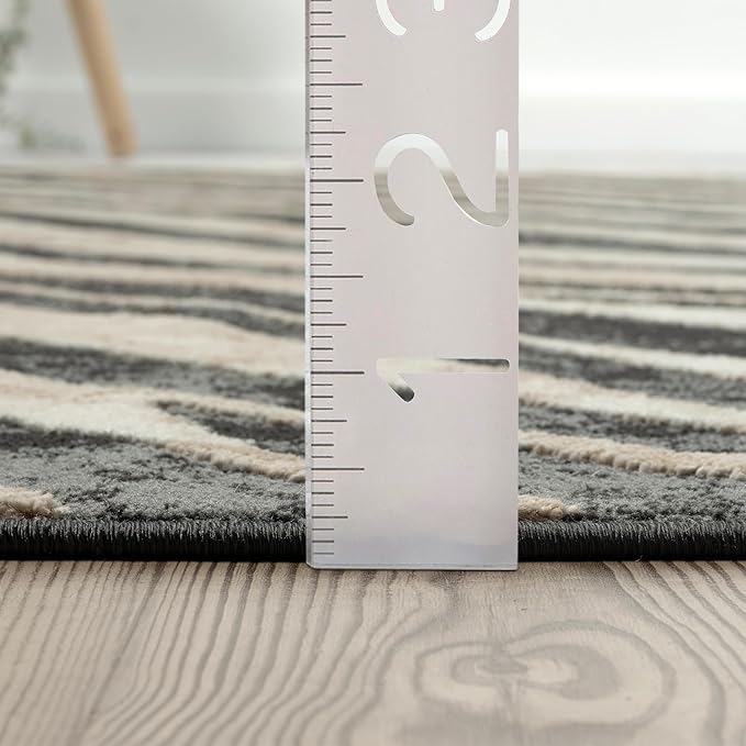 Abani Terra Area Rug for Living Room, Bedroom - Zebra Pattern - Black Cream - 2' x 3' - Durable & Easy to Clean