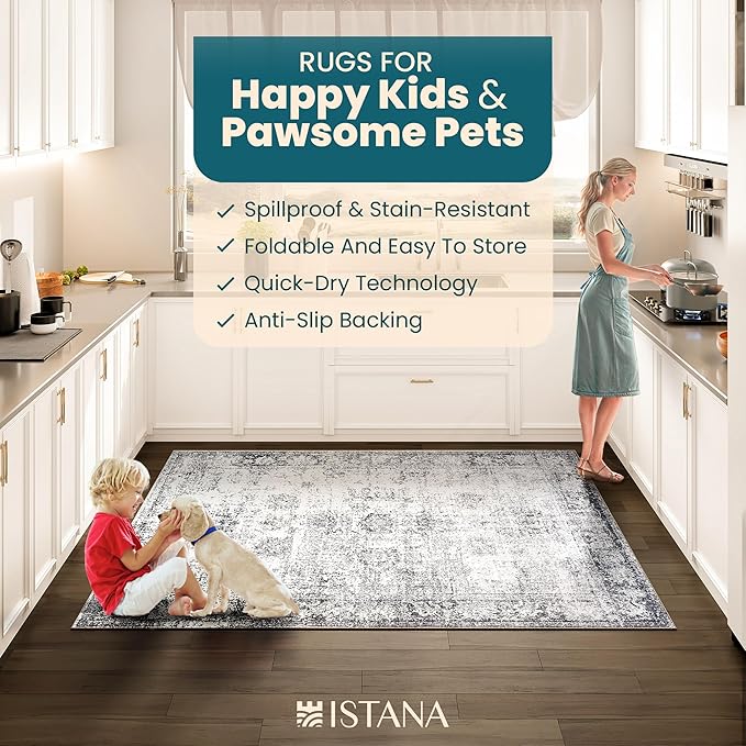 Istana 6x9 Area Rugs - Navy Rugs for Living Room - Luxurious Silk's Soft Touch Living Room Rug - Elegant Non Slip Area Rug