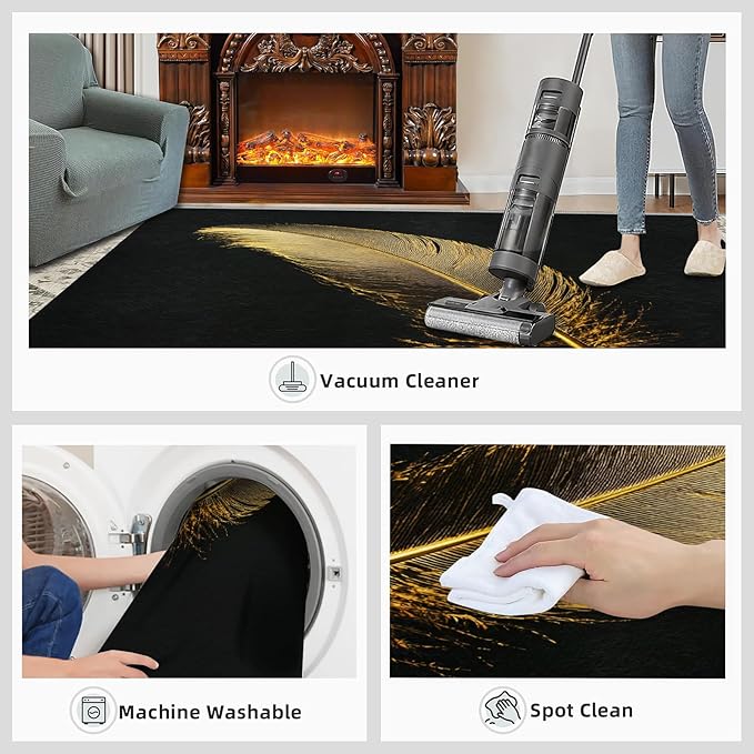 Golden Feathers Rugs for Bedroom - 3x4 Area Rug - Black Gold Feathers Rugs for Living Room, Modern Minimalist Art Rug, Washable Home Decor Carpet