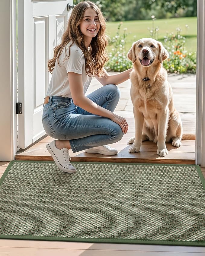 DEXI Ultra Thin Entryway Indoor Door Mat 17x30, Non Slip Rubber Backing Inside Entry Mat, Low Profile Easy Clean Dirt Trapper Doormat for Inside Entrance Patio, Green
