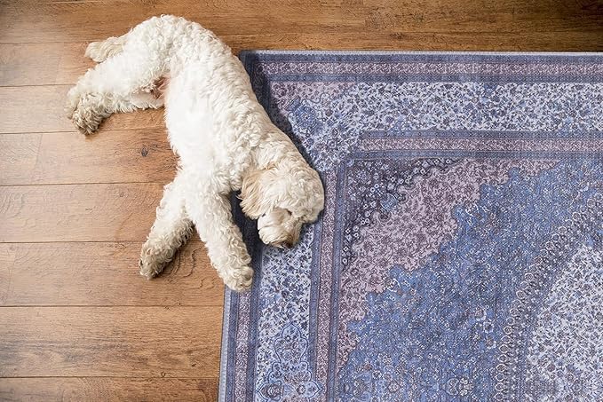 GLN Rugs Traditional Collection - Machine Washable Area Rug, Traditional Washable, Non Slip, Low Pile Chenille Rug, Living Room, Bedroom, Kitchen Rug (6' x 9' Navy/Off White)