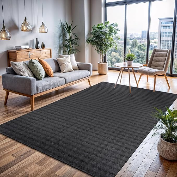 CAMILSON Modern Dark Gray Non Slip Rug 3x5 Ultra Soft High Pile Area Rugs Non Skid Rubber Backing Durable & Easy to Clean Carpet for Living Room Bedroom Kids Room Indoor Use (3 x 5 Dark Gray)