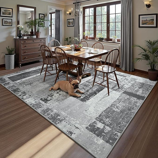 LOCHAS Rug for Living Room, Washable Soft Area Rugs for Bedroom 4x6, Abstract Carpet for Indoor Office Kids Dining Room Nursery Floor, Grey Geometric Vintage Home Decor, Non Slip, Pet Child Friendly