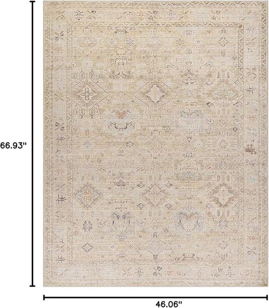 Hauteloom Nakia Bohemian Vintage Medallion Area Rug - Damask Floral Fade Look Carpet for Living Room, Bedroom - Farmhouse - Ivory, Cream, Medium Brown - 3'11" x 5'7"