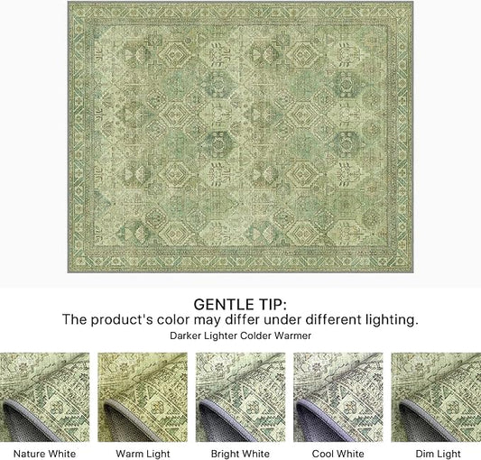 Bavni 2x3 Entryway Rug Bathroom Rugs for Front Door Bedroom Bathroom Kitchen, Washable Vintage Print Carpet, Ultra-Thin Chenille Lightweight Rug with Non Slip Backing, Light Green