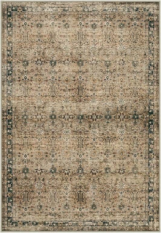 Moynesa Vintage Brown Washable 5x7 Area Rugs for Living Room, Boho Area Rug for Bedroom Dining Room Kitchen, Low Pile Soft Non-Slip Retro Carpets for Office Indoor Nursery
