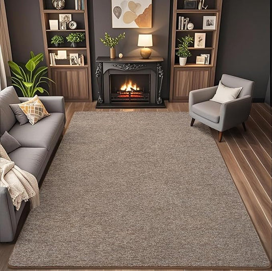 AROGAN Washable 4×6 Bedroom Rug, Modern Area Rugs with Soft Memory Foam for Living Room, Minimalist Non-Slip Indoor Floor Carpet for Dining Room Office Kids Playroom Decor, Matte Brown