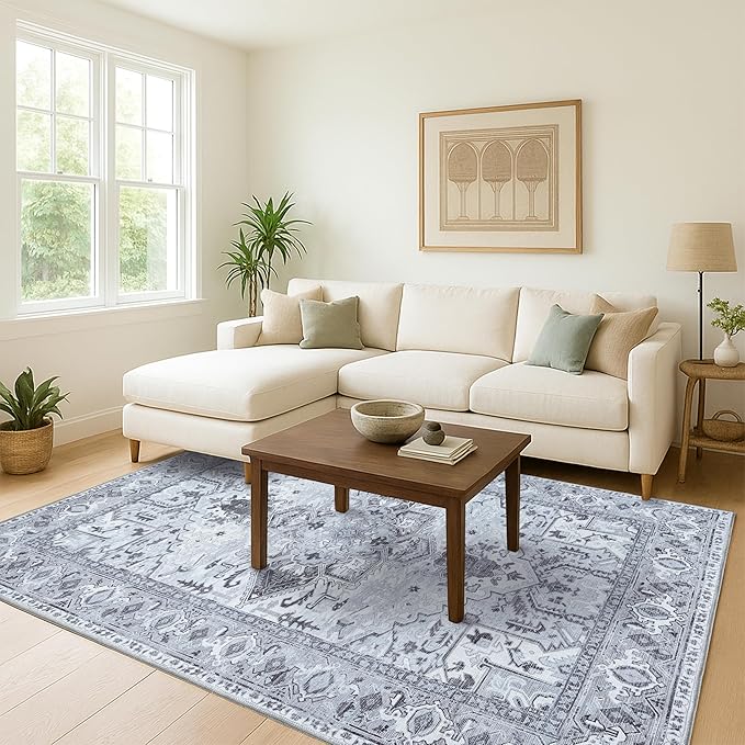 Washable Area Rug. Modern Farmhouse. Vintage. Turkish. Bohemian. Distressed. Oriental. Traditional. Rugs for Living Room. Dining. Bedroom. Office. Entryway. Foyer. (861GG, 2'5" x 6'5")