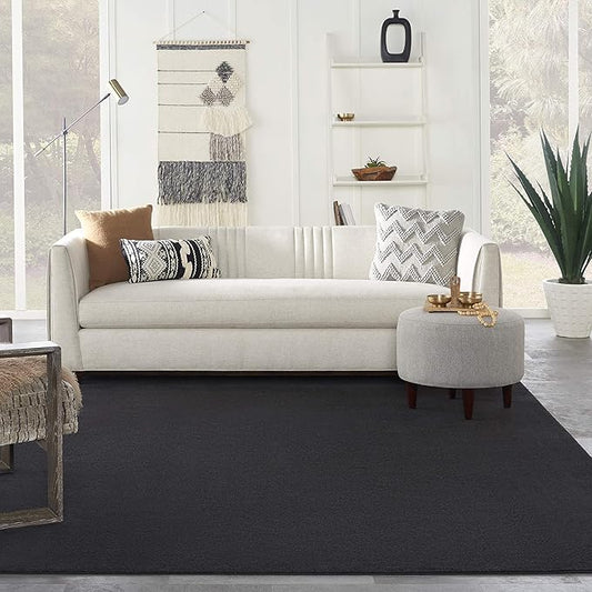 Nourison Home Nourison Essentials Black 8' x 11' Area Rug - Easy Clean, Non Shedding, Bed Room, Living Room, Dining Room, Kitchen (8' x 11')