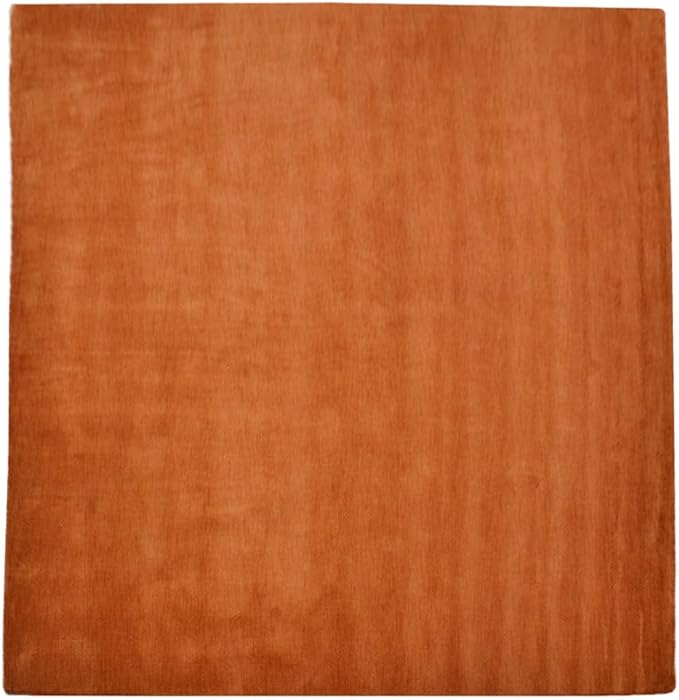 Hand Knotted Loom Wool ECO-Friendly Area Rugs - 10'x10', Square, Orange Color, Solid Plain Design, High Pile Handmade Anti Skid Area Rugs for Living Room, Bed Room (L00111)