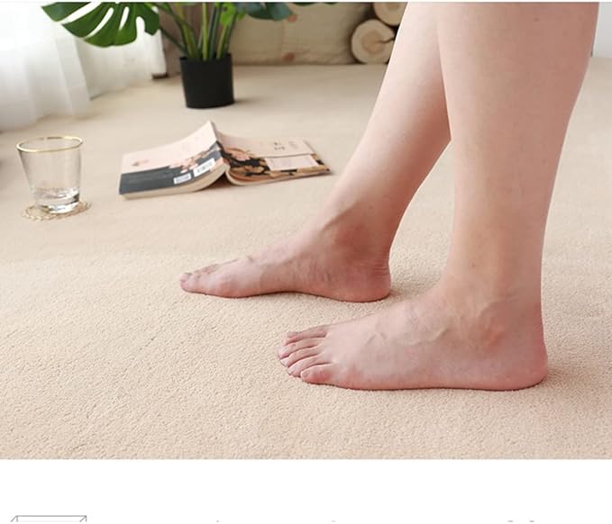 Soft Cashmere Area Rug Luxury Bedside Carpet Bedroom Living Room Mats Solid Color Children's Room Rugs Runner Carpets Indoor Mats Home Décor White Gray Red 4' X 8'