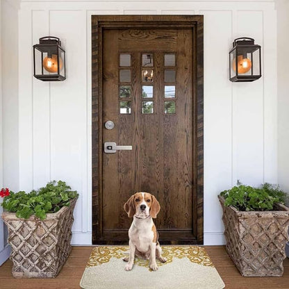 Floral Border Bath Rugs Microfiber Bathroom Mat Soft Plush Shaggy Shower Mat for Bathroom Fluffy Comfortable Water Absorbent Carpet Non-Slip Machine Washable 16"X24"