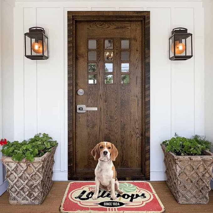 Candy Store Sign Bath Rugs for Bathroom Durable Flannel Bath Rug Clearance Mats for Forlaundry Room and Kitchen Decor Carpt Washable 15.7 x 23.6 Inch