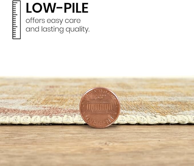 GLN Rugs Traditional Collection - Machine Washable Area Rug, Traditional Washable, Non Slip, Low Pile Chenille Rug, Living Room, Bedroom, Kitchen Rug (2' x 3' Sand/Light Gray)