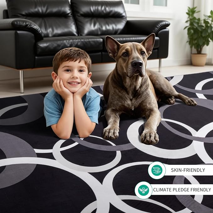 YIHOUSE 4x6 Ft Area Rugs, Concentric Circle Washable Rug, Black and White Geometric Design Rug for Small Living Room, Bedroom, Laundry Room, Entryway, Indoor Home Decor, Nonslip Non-Shedding