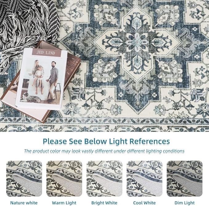 Dripex Vintage Collection Washable Area Rug - 2x3 Door Mat Small Entryway Rug Distressed Non-Slip Low-Pile Floor Carpet for Indoor Front Entrance Kitchen Bathroom Living Room Bedroom