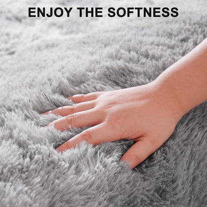 Beglad Fluffy Area Rugs 4x6 Feet, Modern Minimalist Style Shag Rugs, Non-Slip Indoor Carpet Soft Rugs for Bedroom, Living Room & Kids Room, Tie-Dyed Light Grey