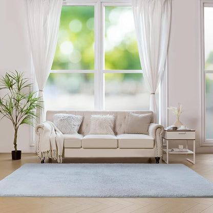duduta 6x9 ft Grey Rectangle Fluffy Rug, Shag Fuzzy Plush Carpet for Bedroom Nursery Living Room Home Decor