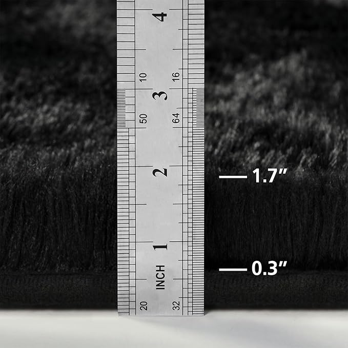 Shag Area Rug, 4 X 6 Plush Fuzzy Rugs for Living Room, Ultra Soft Fluffy Furry Rug for Bedroom, Indoor Carpet Nursery Rugs for Kids Room Home Decor, Black