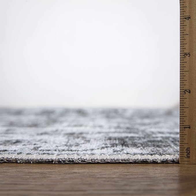 Bloom Rugs Caria Washable Non-Slip 6x9 Rug - Silver/Dark Gray Traditional Area Rug for Living Room, Bedroom, Dining Room, and Kitchen - Exact Size: 6' x 9'
