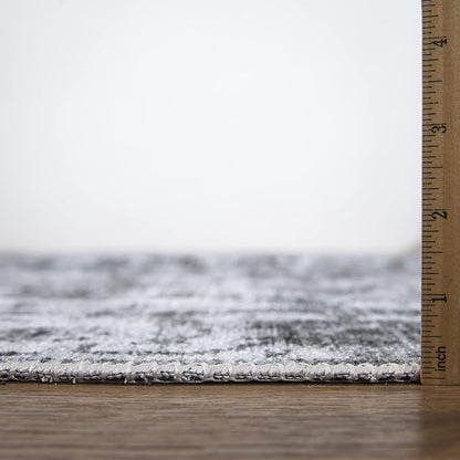 Bloom Rugs Caria Washable Non-Slip 6x9 Rug - Silver/Dark Gray Traditional Area Rug for Living Room, Bedroom, Dining Room, and Kitchen - Exact Size: 6' x 9'