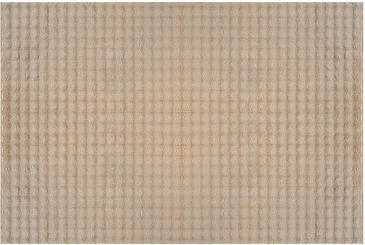 CAMILSON Modern Beige Non Slip Door Mat Rug 2x3 Ultra Soft High Pile Entryway Rugs Non Skid Rubber Backing Durable & Easy to Clean Carpet for Kitchen Bathroom Indoor Use (2 x 3 Beige)
