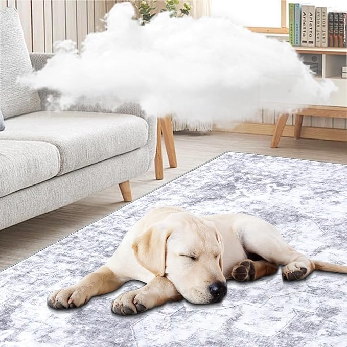 COMSLE Washable Door Mat, Front Door Mat Indoor Faux Wool Absorbent Small Rugs for Entryway Distressed Throw Rug Non-Slip Accent Floor Carpet for Entrance Bedroom, 24X48 Inches Gray