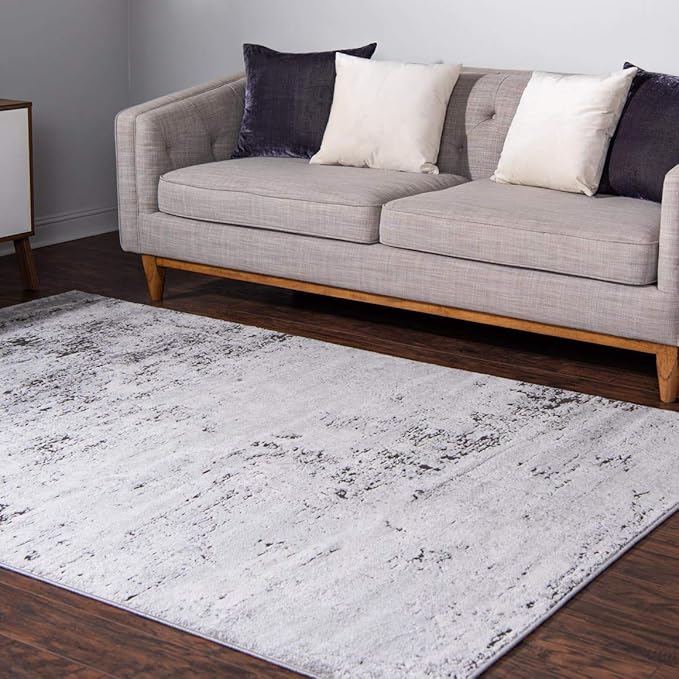Rugs.com Leipzig Collection Area Rug – 4X6 Grey Low-Pile Rug Perfect for Entryways, Kitchens, Breakfast Nooks, Accent Pieces
