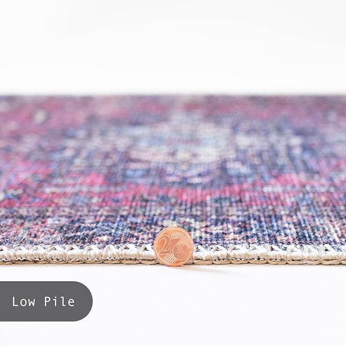 GLN Rugs Traditional Collection - Machine Washable Area Rug, Traditional Washable, Non Slip, Low Pile Chenille Rug, Living Room, Bedroom, Kitchen Rug (5' x 7' Multi Blue)