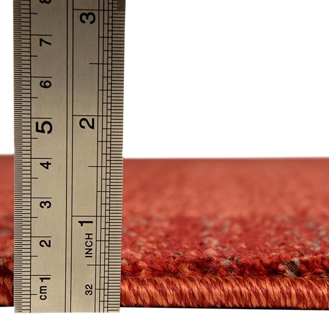 Rugs.com Angelica Collection Rug – 2' x 3' Terracotta Medium Rug Perfect for Entryways, Kitchens, Breakfast Nooks, Accent Pieces