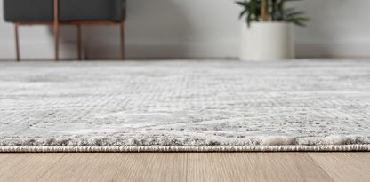 Adel Modern Area Rug for Living Room, 5x7 Rustic Distressed Abstract Gray Rug, Medium Pile Stain Resistant Carpet for Bedroom, Dining Room or Kitchen (5' x 7', Gray)