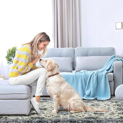 Area Rug Non Slip Machine Washable Ultra Soft Living Room/Bedroom/Kitchen/Outdoor/Classroom White Gray, 4'×6'