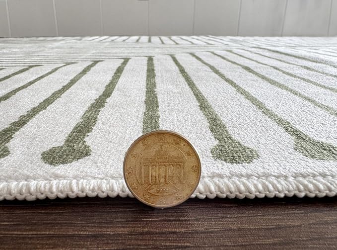 GLN Rugs Contemporary Collection - Machine Washable Area Rug, Contemporary Washable, Non Slip, Low Pile Chenille Rug, Living Room, Bedroom, Kitchen Rug (3' x 5' Green Beige)