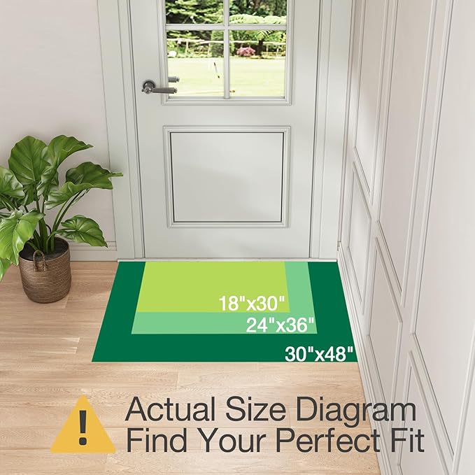 LUMI Inside Door Mat for Entry 17''x30'', Absorbent, Dirt Trapper, Low Profile Thin, Non Slip Mats with Rubber Backing, Ideal for Indoor, High Traffic, Garage, Entrance, Birdy Black