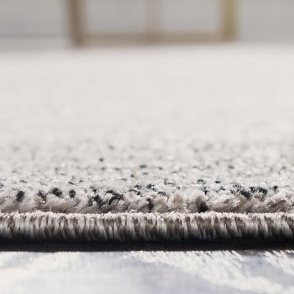 Rugs.com Angelica Collection Rug – 4' x 6' Light Gray Medium Rug Perfect for Entryways, Kitchens, Breakfast Nooks, Accent Pieces