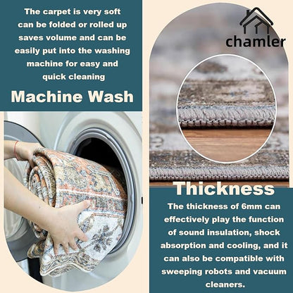 10'x14' Washable Area Rug Boho Chic Medallion Distressed Design Non-Shedding Easy Care Ideal for High Traffic Areas in Rugs for Living Room Bedroom Office Coffee Table Large Carpet