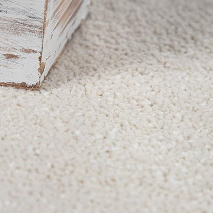 Paco Home Solid Area Rug in Cream Modern Plain Design, Size: 2'8" x 4'11"