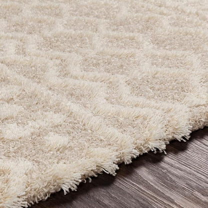 Livabliss Hapsburg Moroccan Shag Runner Area Rug,2'7" x 16',Beige