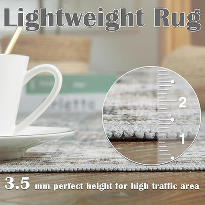 jinchan Area Rug 6x9 Washable Living Room Rug Vintage Distressed Gray Multi Floral Floor Cover Indoor Mat Retro Carpet Bedroom Kitchen Office Farmhouse Grey