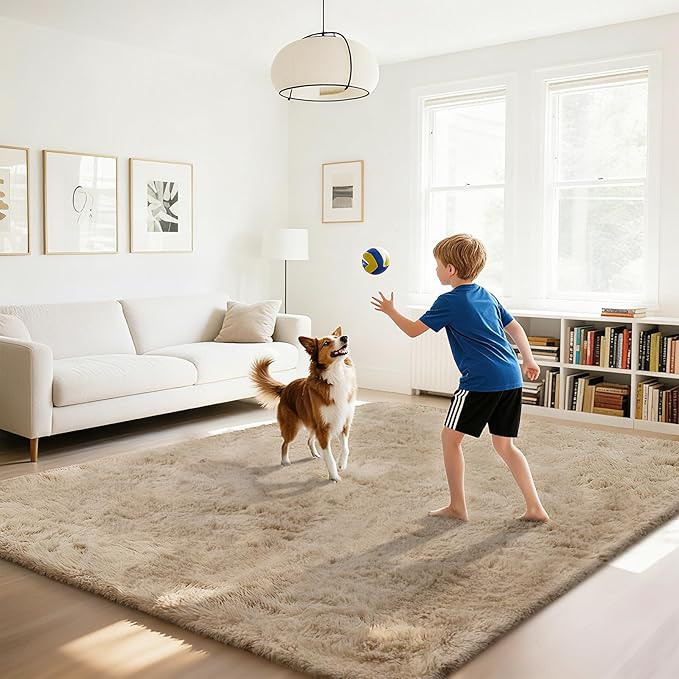 Fluffy Rug Shaggy Area Rug, Beige 3x5 Area Rugs for Bedroom, Small Bedside Rug, Soft Fluffy Shaggy Entryway Throw Rugs for Living Room Bedroom Kids Room Home Decor