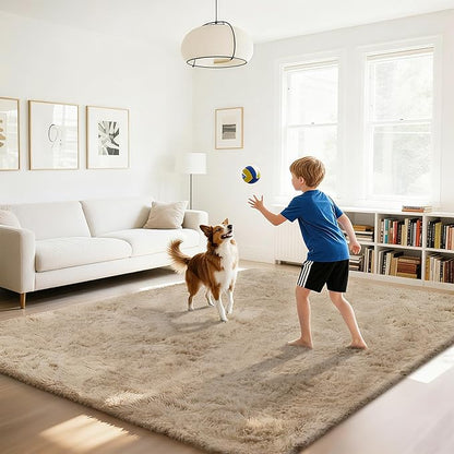 Fluffy Rug Shaggy Area Rug, Beige 5x8 Area Rugs for Bedroom, Small Bedside Rug, Soft Fluffy Shaggy Entryway Throw Rugs for Living Room Bedroom Kids Room Home Decor