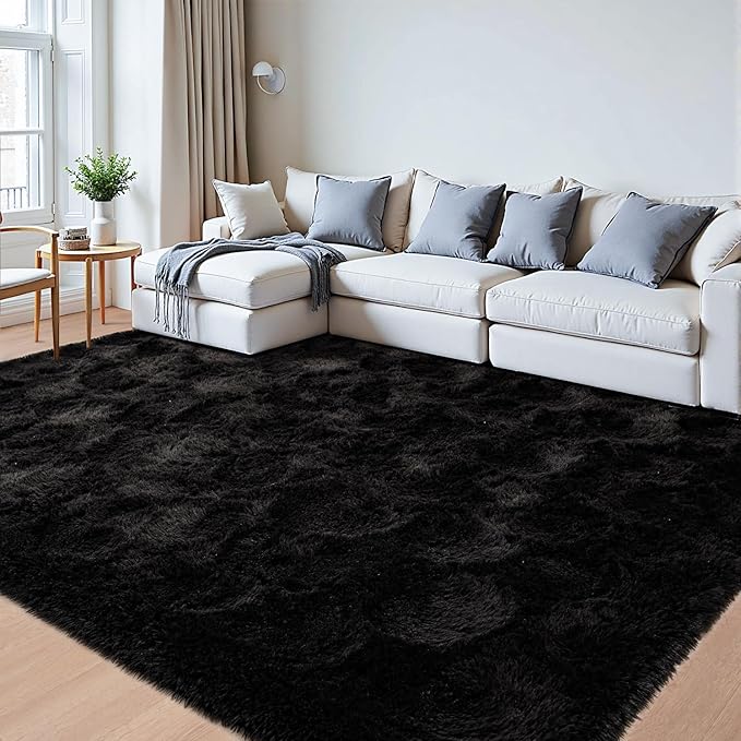 Beglad Fluffy Area Rugs 3 x 5 Feet, Modern Minimalist Style Shag Rugs, Non-Slip Indoor Carpet Soft Rugs for Bedroom, Living Room, Black