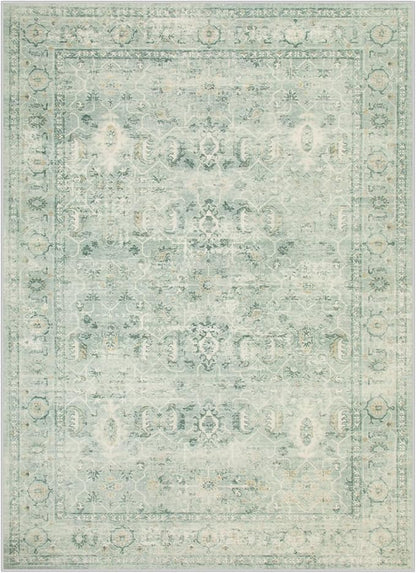 Lahome Vintage 5x7 Washable Green Rugs for Living Room Bedroom, Soft Dining Room Rugs for Under Table, Non Slip Indoor Throw Carpet for Entryway Kitchen Office (5x7ft,Light Green)