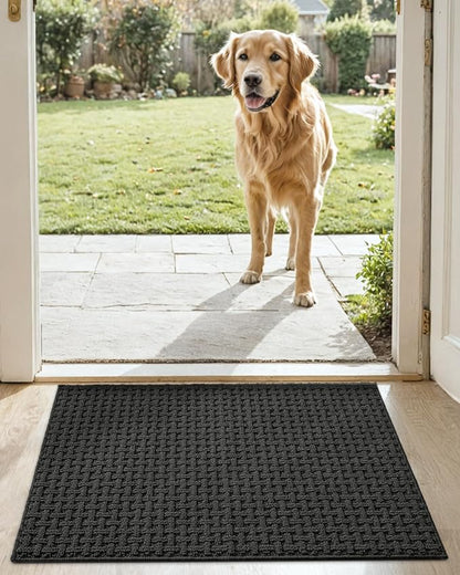 DEXI Front Entryway Door Mat Non Slip 17x30, Washable Entry Way Mats Inside Entrance Low Profile, Welcome Doormat Dirt Trapper for House Floor Home Porter Hall Backdoor Area, Dark Grey