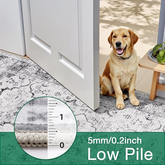 LUMI Washable Area Rug 8x10 for Living Room, Ultra Soft Stain Resistant Carpet with Non Slip Rubber Backing, Non-Shedding Low Pile Rugs for Bedroom, Dining Room, Indoor, Office