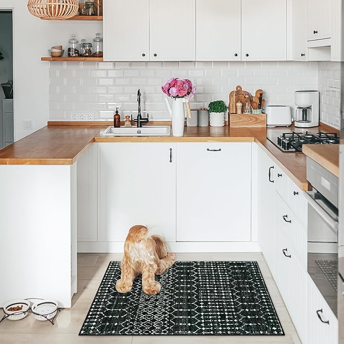 Lahome Moroccan Entry Rug 2x3, Non-Slip Washable Front Indoor Door Mat Rubber Backing Low-Profile Door Rugs, Small Geometric Print Distressed for Entryway Bathroom Kitchen, Black