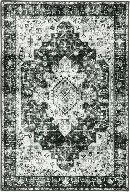 Moynesa Washable 2x3 Entryway Rug Small Front Door Mat, Black and White Kitchen Rugs Non Skid Non-Slip with Rubber Backing, Distressed Low Pile Throw Carpet for Indoor Outside Entrance